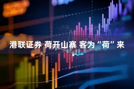 港联证券 荷开山寨 客为“荷”来