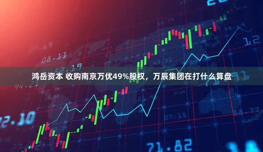 鸿岳资本 收购南京万优49%股权，万辰集团在打什么算盘