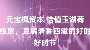 元宝枫资本 恰值玉湖荷花绽放，豆腐清香四溢的好时节